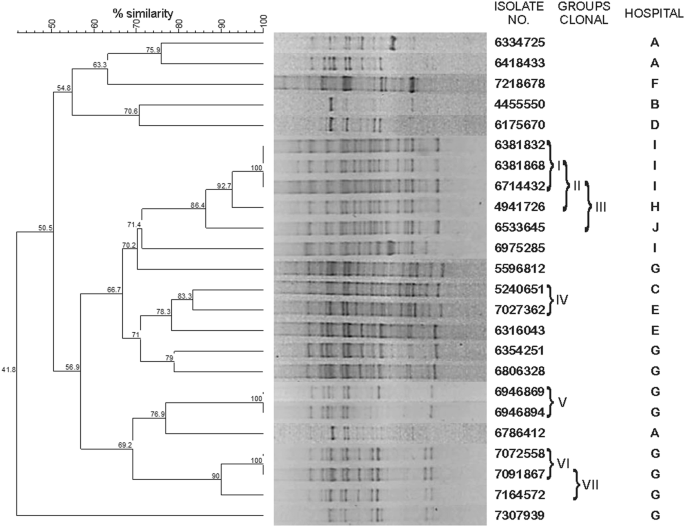Identification, molecular characterization, and structural analysis of the  blaNDM-1 gene/enzyme from NDM-1-producing Klebsiella pneumoniae isolates |  The Journal of Antibiotics