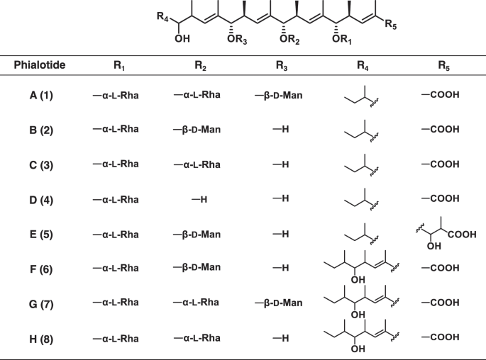 Polyketide Glycosides Phialotides A To H New Potentiators Of Amphotericin B Activity Produced By Pseudophialophora Sp Bf 0158 The Journal Of Antibiotics