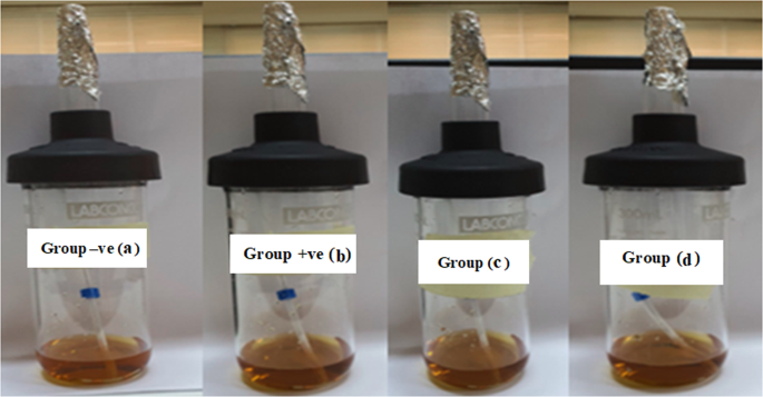 Anti-microbial efficacy of l-glutaminase (ec 3. 5. 1. 2) against multidrug-resistant pseudomonas aeruginosa infection
