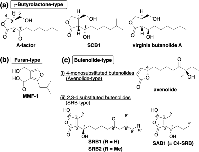Rare distribution of butenolide-type signaling molecules among ...