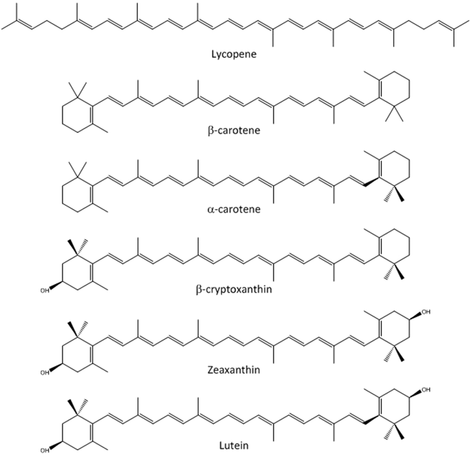 A review of factors that affect carotenoid concentrations in human plasma:  differences between Mediterranean and Northern diets | European Journal of  Clinical Nutrition