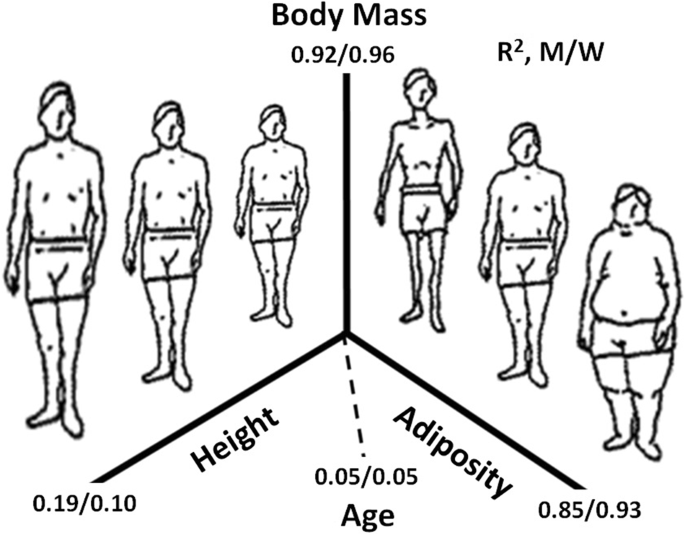The Anatomy Of Resting Energy Expenditure Body Composition Mechanisms European Journal Of Clinical Nutrition