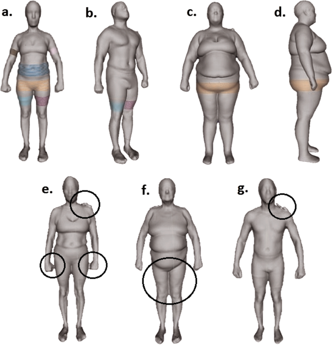 Mens Avatar Body Measurements Chart Size 40