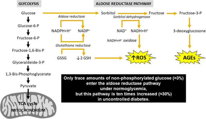 Translating The Advanced Glycation End Products Ages Knowledge Into Real World Nutrition Strategies European Journal Of Clinical Nutrition