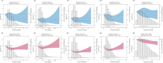 Dietary one-carbon metabolism nutrients and risk of MASLD progression: a prospective cohort study