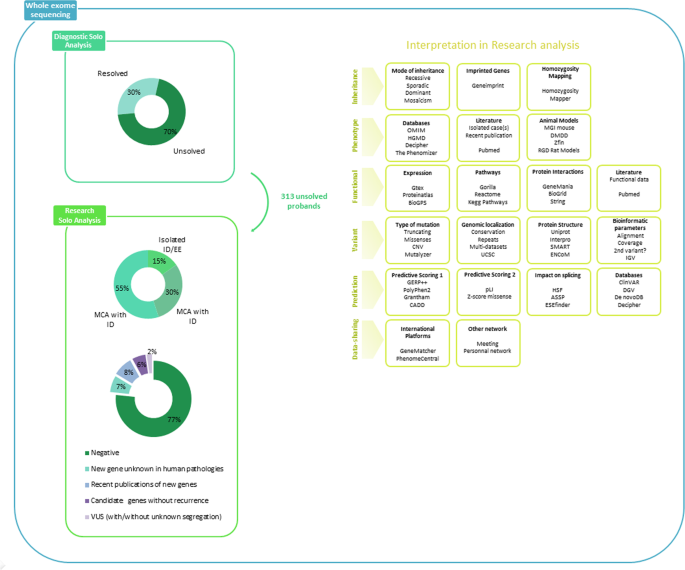 Genes Impact Suspect Cortex Areas More >> Increased Diagnostic And New Genes Identification Outcome Using Genes Impact Suspect Cortex Areas More >> Increased Diagnostic And New Genes Identification Outcome Using