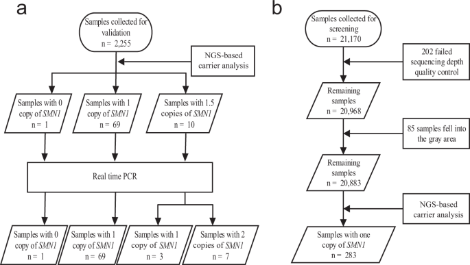 Screening for Tay‐Sachs disease carriers by full‐exon sequencing