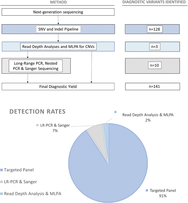 The genetic landscape of polycystic kidney disease in Ireland