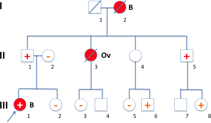 The uptake of predictive dna testing in 40 families with a pathogenic brca1/brca2 variant. An evaluation of the proband-mediated procedure