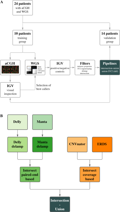 Combining callers improves the detection of copy number variants 