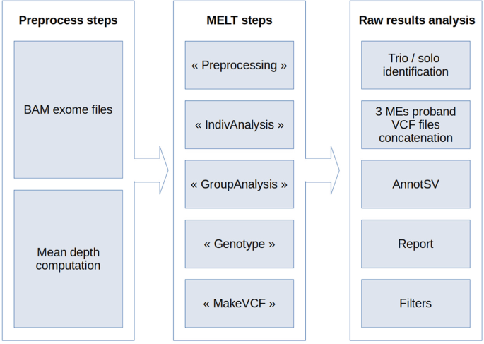 A second look at exome sequencing data: detecting mobile elements insertion in a rare disease cohort