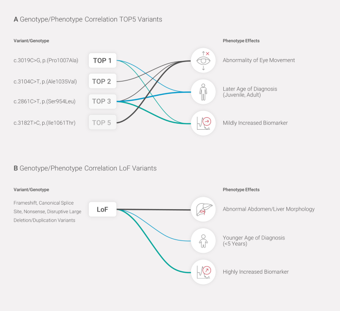 At a glance: the largest Niemann-Pick type C1 cohort with 602