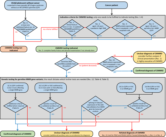 ERN GENTURIS guidelines on constitutional mismatch repair deficiency