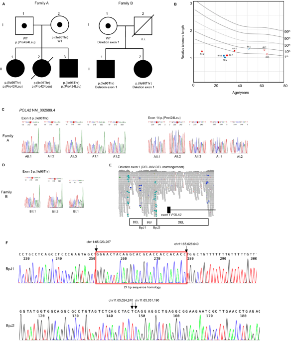 Identification of biallelic pola2 variants in two families with an autosomal recessive telomere biology disorder