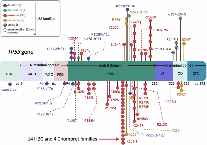 Characterisation of heritable TP53-related cancer syndrome in Sweden—a ...