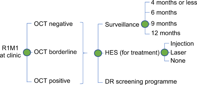 Cost-effectiveness of digital surveillance clinics with optical coherence tomography versus hospital eye service follow-up for patients with screen-positive maculopathy