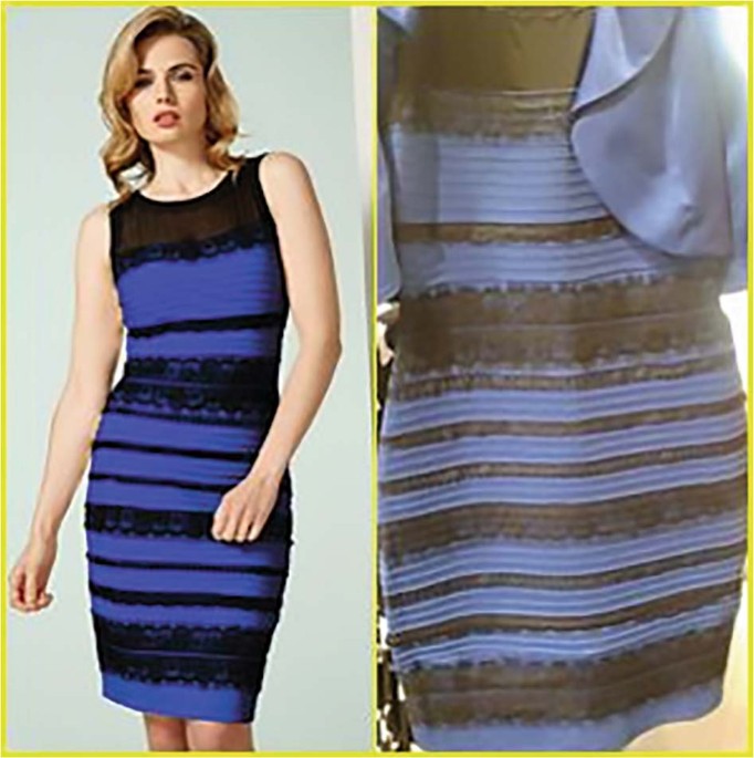 gold and white dress illusion