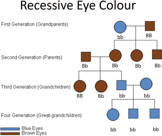 Why do some Indian people have blue eyes? Is there any ancestry