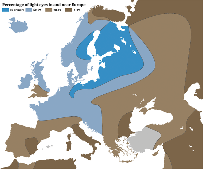 Blue eyed people related to single ancestor: Study Blue-eyed