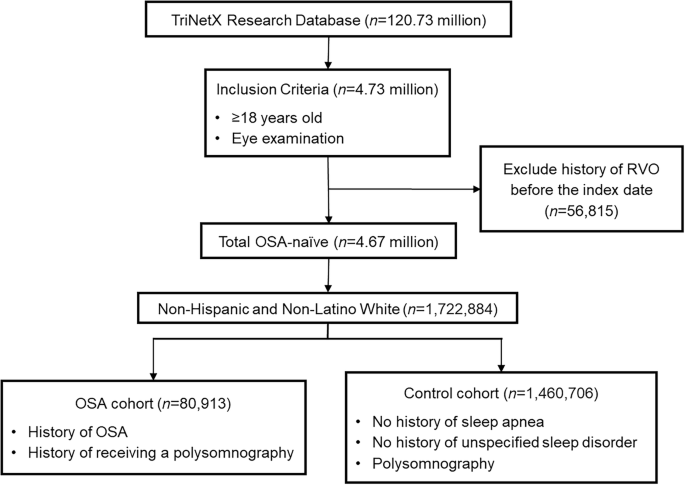 Associations between obstructive sleep apnoea and the development and severity of retinal vein occlusion