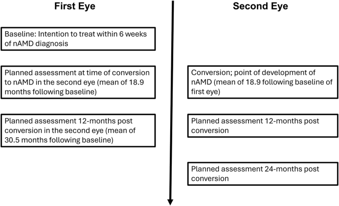 Early detection of neovascular age-related macular degeneration in the second eye reduces intravitreal treatment burden: FASBAT report 2 - Eye