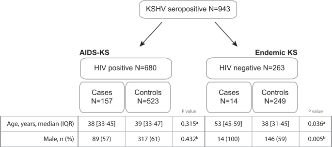 Relationship between human leukocyte antigen alleles and risk of kaposi’s sarcoma in cameroon