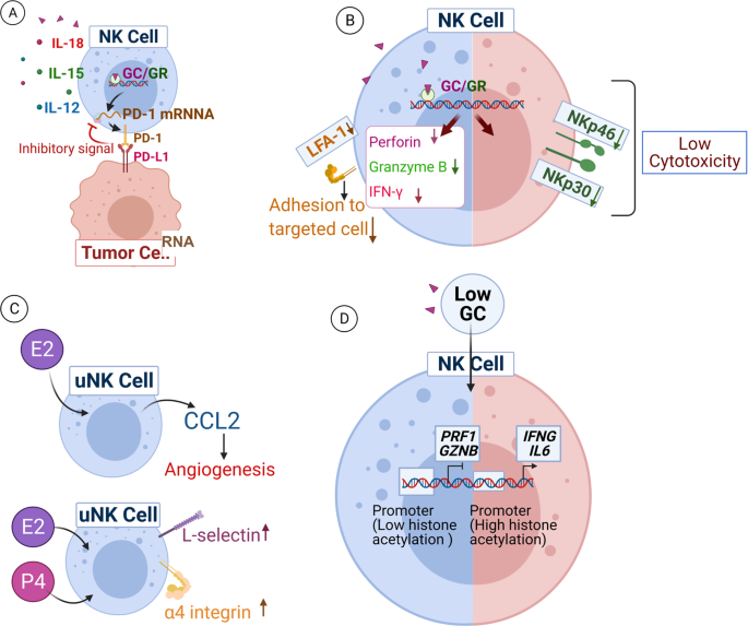Revisiting steroidogenesis and its role in immune regulation with the  advanced tools and technologies | Genes & Immunity