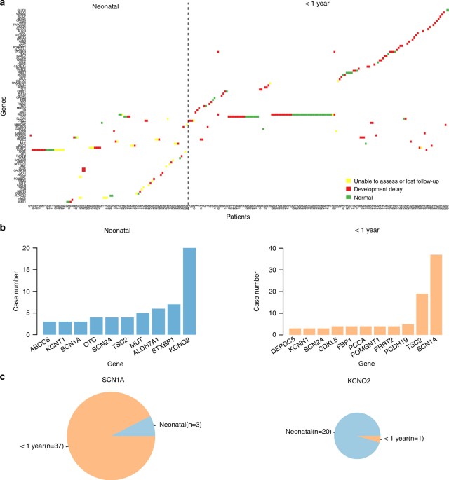Genes Impact Suspect Cortex Areas More >> Clinical And Genetic Spectrum Of A Large Cohort Of Children With Genes Impact Suspect Cortex Areas More >> Clinical And Genetic Spectrum Of A Large Cohort Of Children With