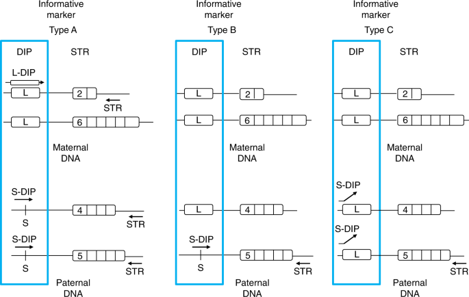 Unique Maternal Blood Dna Markers >> Analysis Of Fetal Dna In Maternal Plasma With Markers Designed For Unique Maternal Blood Dna Markers >> Analysis Of Fetal Dna In Maternal Plasma With Markers Designed For