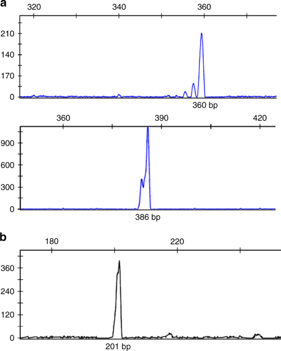 Unique Maternal Blood Dna Markers >> Analysis Of Fetal Dna In Maternal Plasma With Markers Designed For Unique Maternal Blood Dna Markers >> Analysis Of Fetal Dna In Maternal Plasma With Markers Designed For