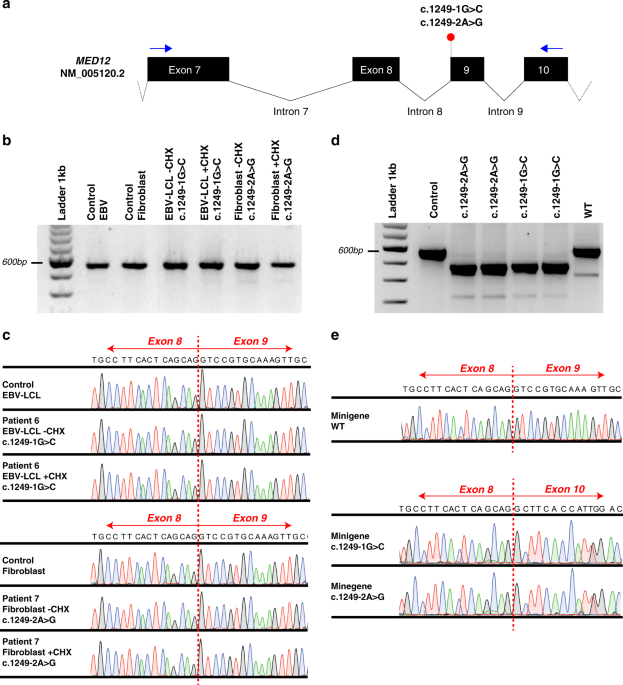 Cornelia de Lange Syndrome - GeneReviews® - NCBI Bookshelf