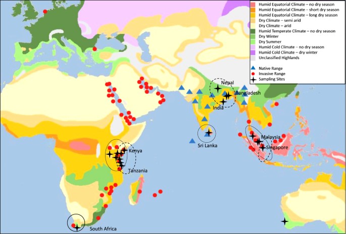 Population Mitogenomics Provides Insights Into Evolutionary