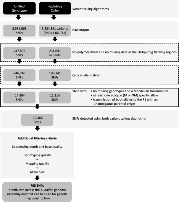 Genetic Architecture Of A Plant Adaptive Trait Qtl Mapping Of Intraspecific Variation For Tolerance To Metal Pollution In Arabidopsis Halleri Heredity