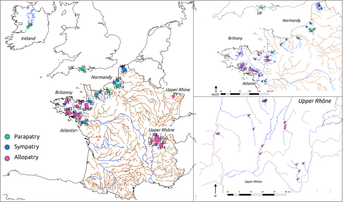 Riverscape Genetics In Brook Lamprey Genetic Diversity Is Less Influenced By River Fragmentation Than By Gene Flow With The Anadromous Ecotype Heredity