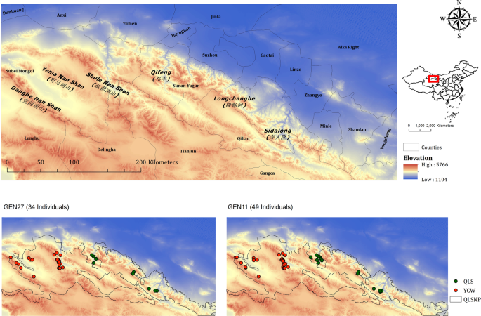 evidence-of-spatial-genetic-structure-in-a-snow-leopard-population-from-gansu-china-heredity