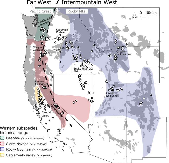 Contrasting genetic trajectories of endangered and expanding red fox  populations in the western U.S | Heredity