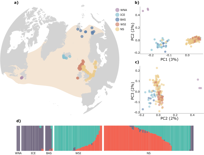 Population genomics of the white-beaked dolphin (lagenorhynchus albirostris): implications for conservation amid climate-driven range shifts