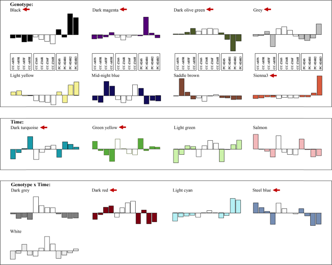 Genome-wide transcriptome analysis reveals molecular pathways involved in  leafy head formation of Chinese cabbage (Brassica rapa)