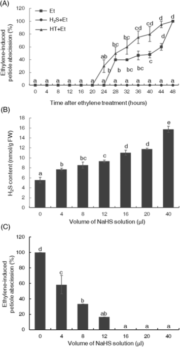 Hydrogen Sulfide Inhibits Ethylene Induced Petiole Abscission In