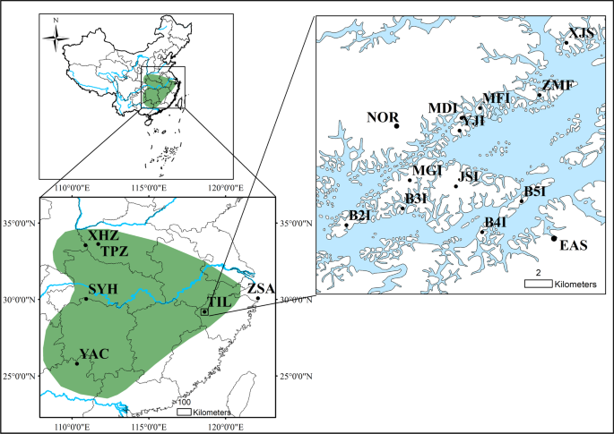Scale Dependent Effects Of Habitat Fragmentation On The Genetic Diversity Of Actinidia Chinensis Populations In China Horticulture Research Scale Dependent Effects Of Habitat Fragmentation On The Genetic Diversity Of Actinidia Chinensis Populations In China Horticulture Research