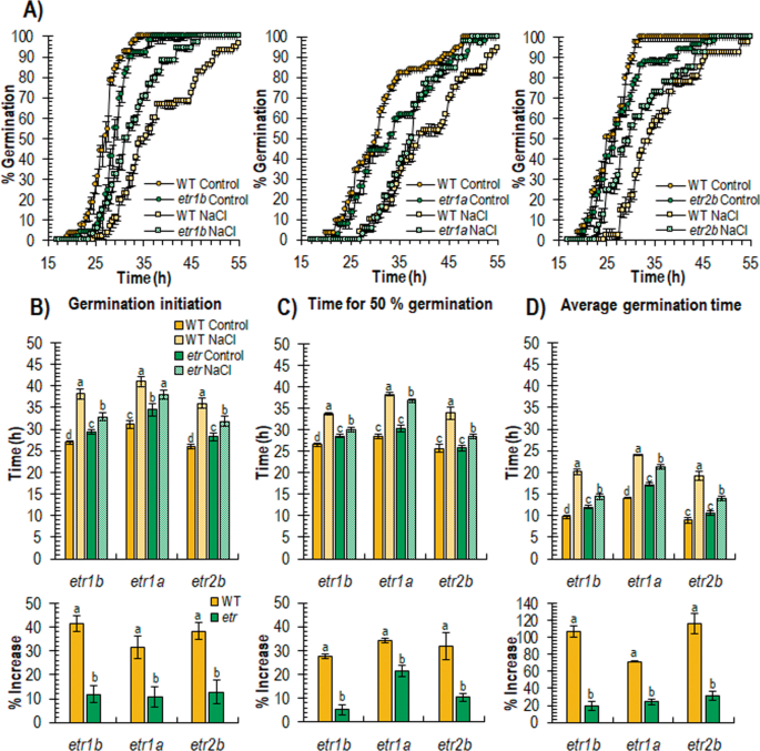 Involvement Of Ethylene Receptors In The Salt Tolerance Response Of Cucurbita Pepo Horticulture Research