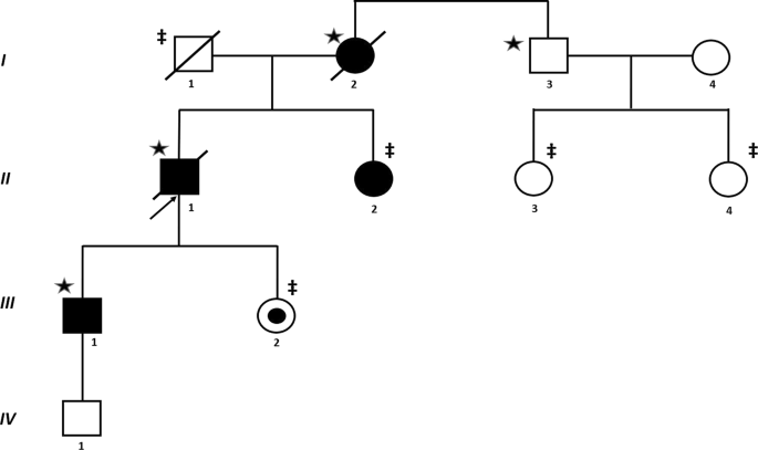 A novel germline mutation of the sftpa1 gene in familial interstitial pneumonia
