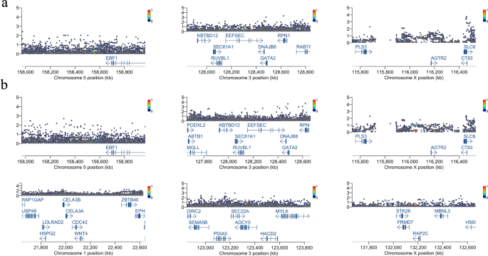 Genome-wide association study of preterm birth and gestational age in a  Japanese population | Human Genome Variation