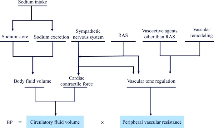 diabetes and hypertension pathophysiology pdf a kezelést az 1. típusú diabetes mellitus