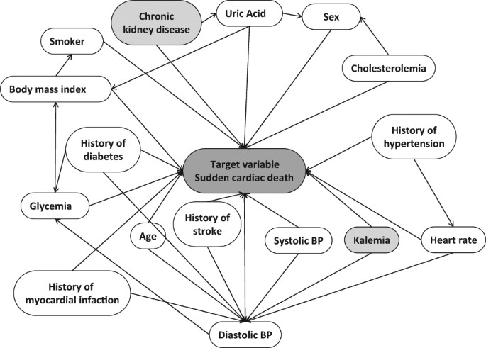 Combined effect of renal function and serum potassium level in sudden cardiac death in aging hypertensive subjects