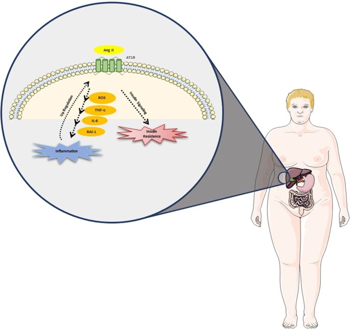 The role of the angiotensin ii type i receptor blocker telmisartan in the treatment of non-alcoholic fatty liver disease: a brief review