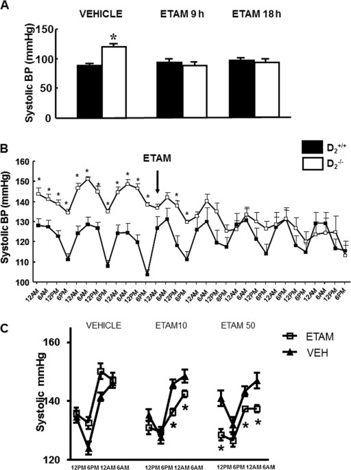 Antihypertensive effect of etamicastat in dopamine d2 receptor-deficient mice