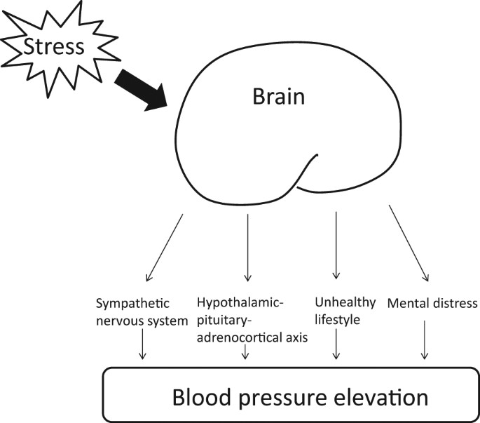 Home Blood Pressure - St James Medical Centre