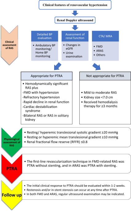 How should we define appropriate patients for percutaneous transluminal renal angioplasty treatment?