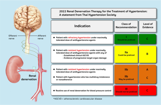 New Targets for Radiation Therapy Include Cardiac AF Ablations and Renal  Denervation